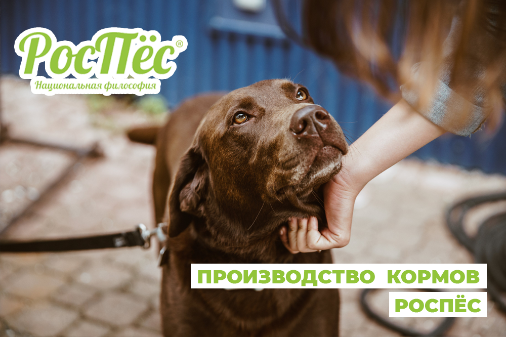 Производство кормов марки "РосПес"