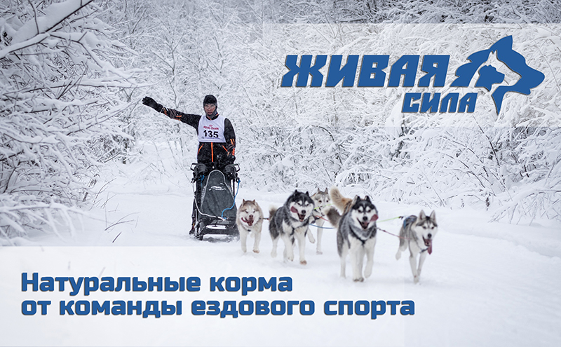 100% натуральные корма «Живая сила» от команды ездового спорта