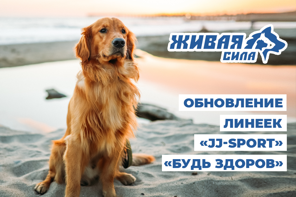 Живая Сила обновление линеек