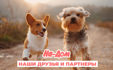 Наши друзья и партнеры