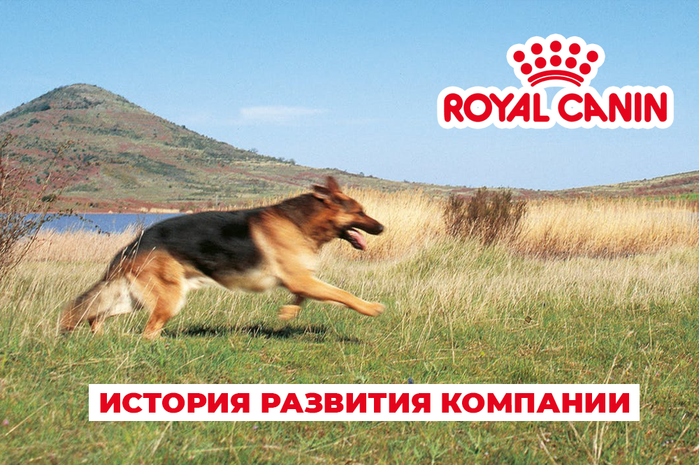 История компании ROYAL CANIN® 
