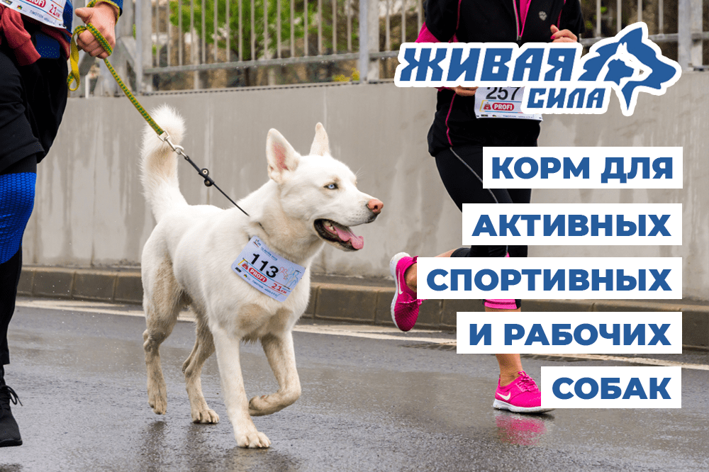 Корм для активных, спортивных и рабочих собак Живая Сила