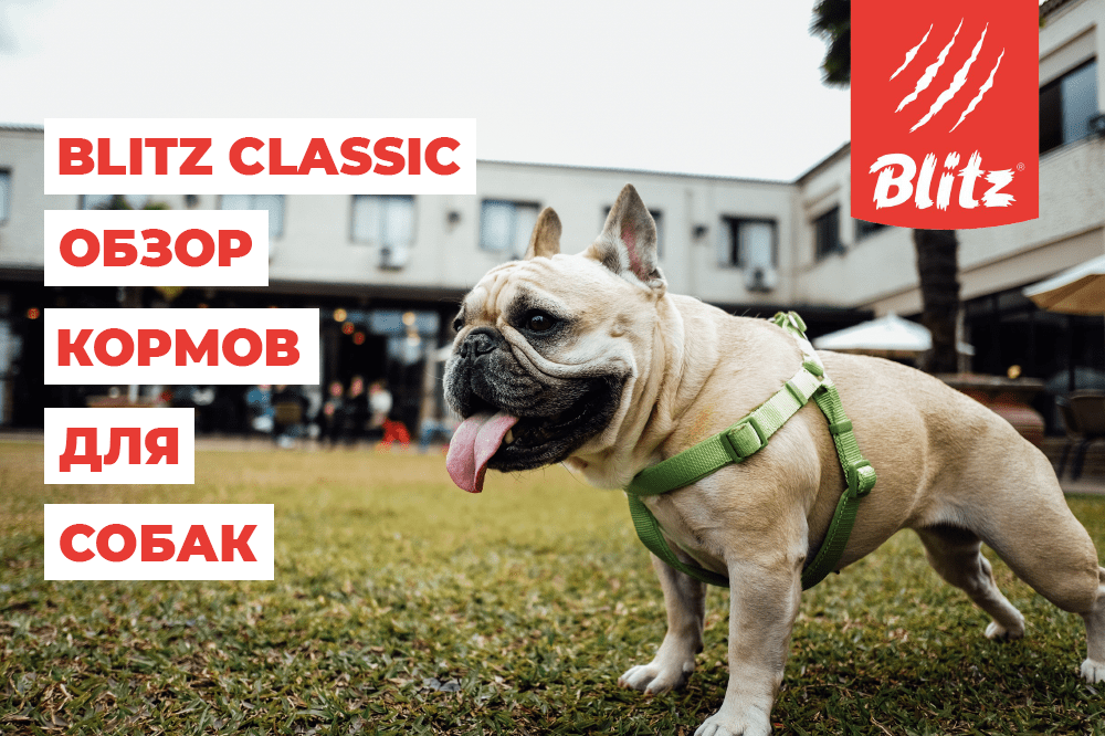 Blitz Classic обзор кормов для собак