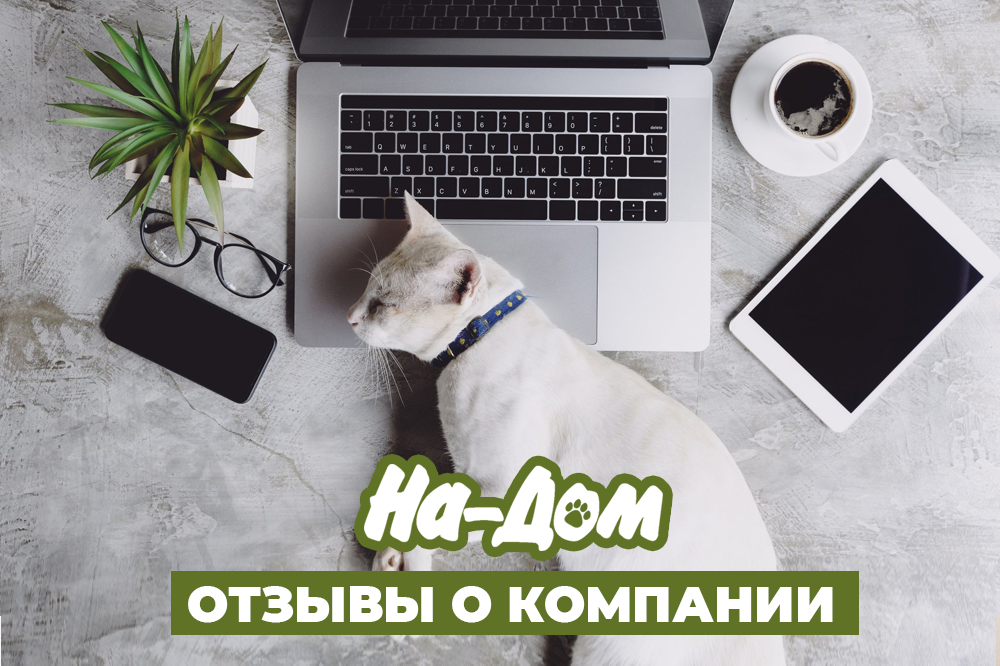 Отзывы о компании "На-Дом"