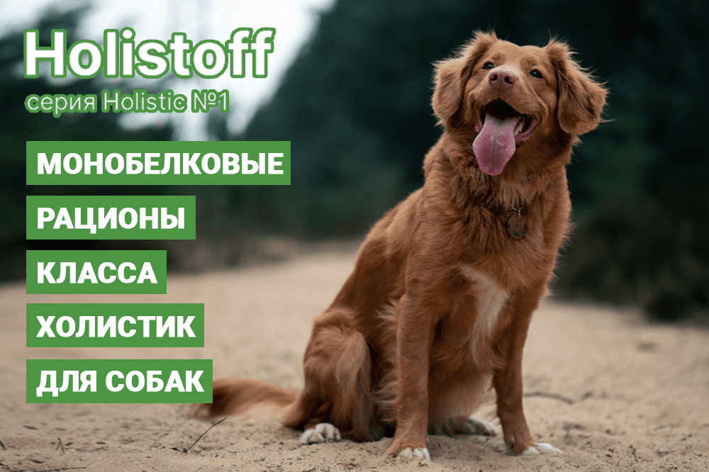 Сухой корм для собак Holistof 