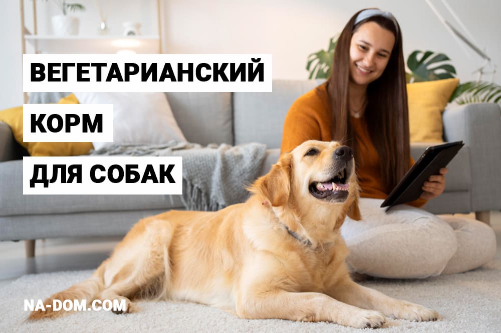 Вегетарианский корм для собак