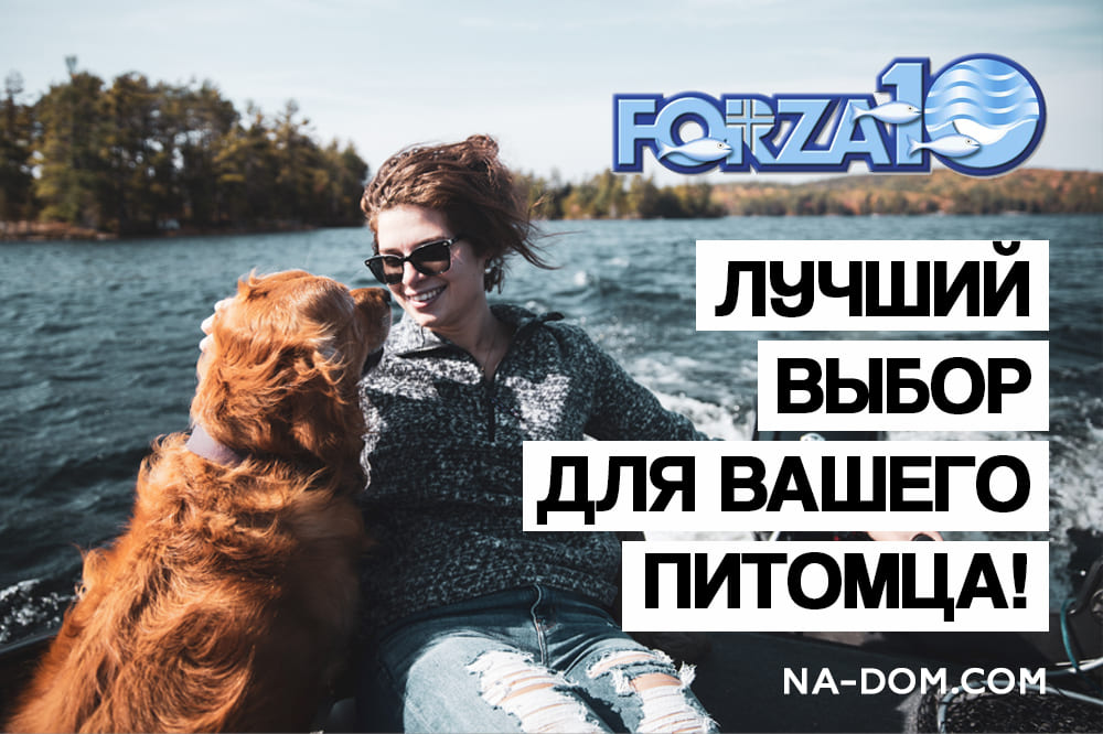 Сухой корм Forza10 (Форца) лучший выбор для вашего питомца!