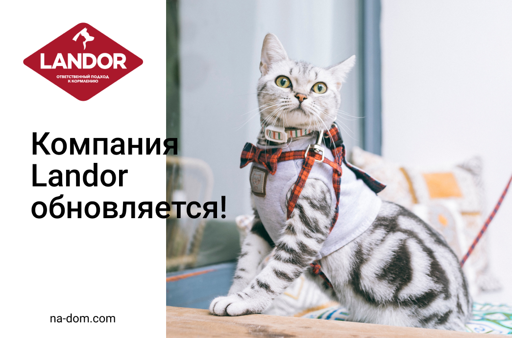 Обновление Landor