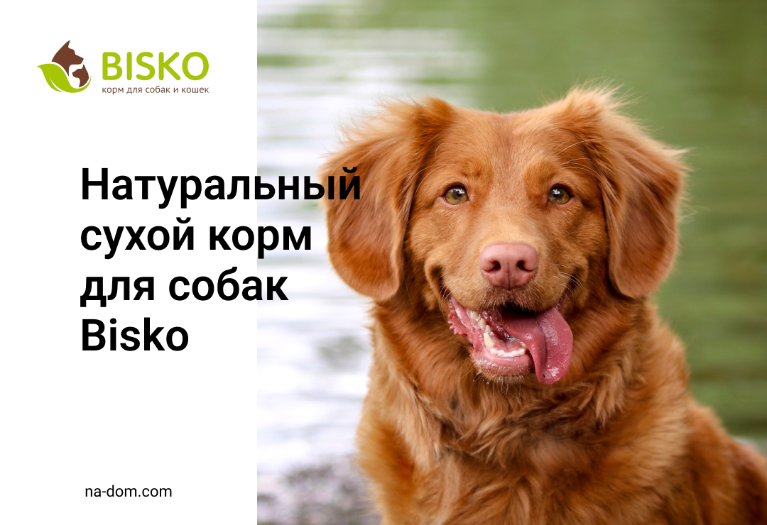 Сухой корм для собак Bisko (Биско)