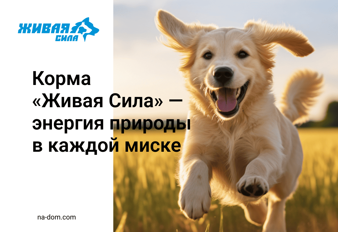 Корма «Живая Сила» — энергия природы в каждой миске
