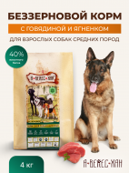 Нет заданного изображения 