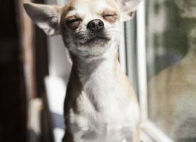 8dD C IXJmA