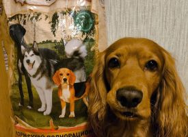 Avleskhan Dog Food1