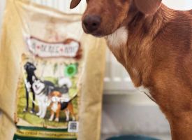 Avleskhan Dog Food3