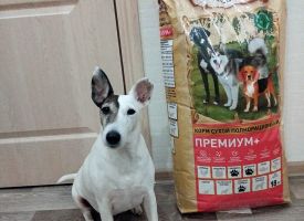 Avleskhan Dog Food5