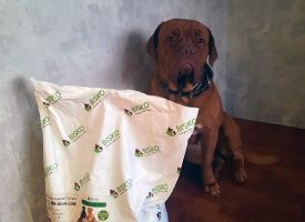 Bisko Dog Food