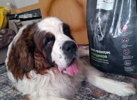 Bisko Dog Food1