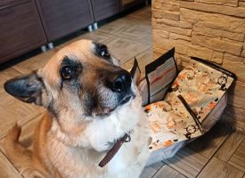 Bud Zdorov Dog Food