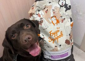 Bud Zdorov Dog Food1