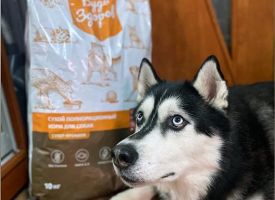Budzdorov Dog Food5