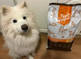 Budzdorov Dog Food6