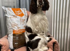 Budzdorov Dog Food8