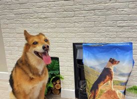 Zhivaya Sila Dog Food1