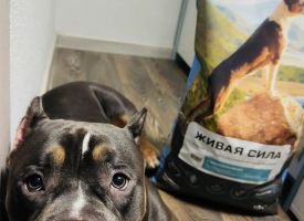 Zhivaya Sila Dog Food11