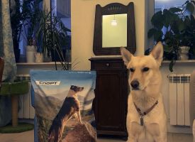 Zhivaya Sila Dog Food5