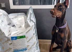 Zhivayasila Dog Food12