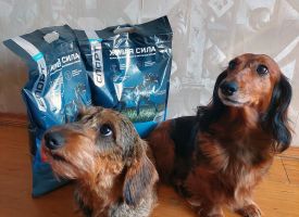 Zhivayasila Dog Food14