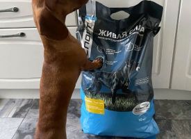 Zhivayasila Dog Food6